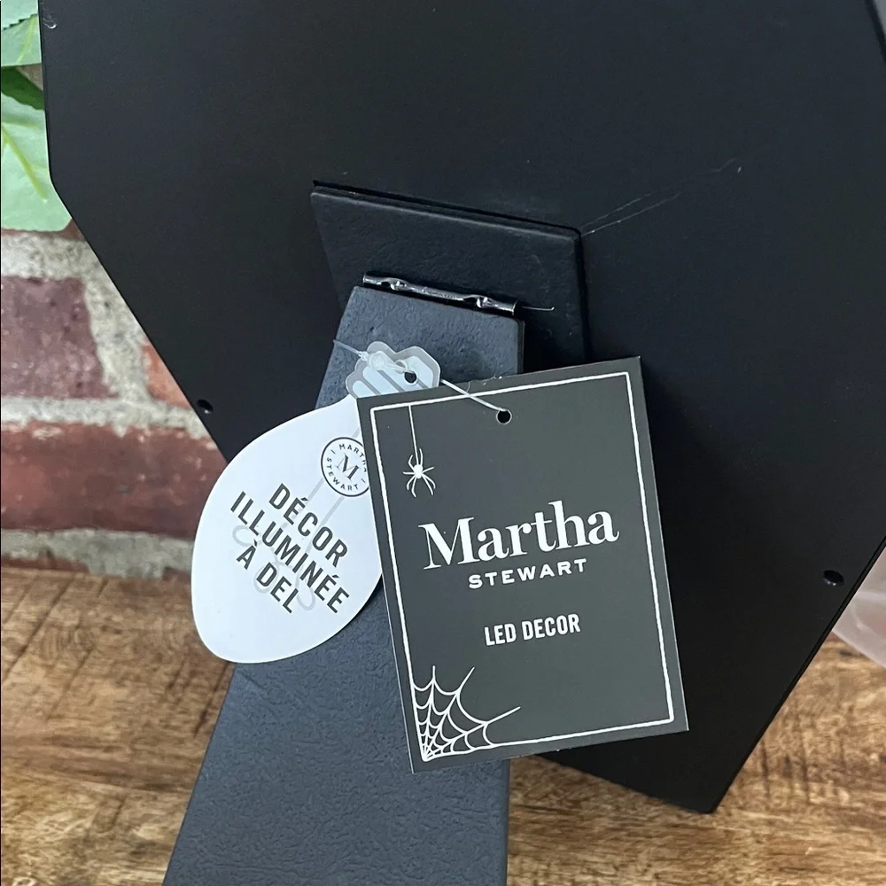 Martha Stewart Coffin-Shaped Black Wall Mirror